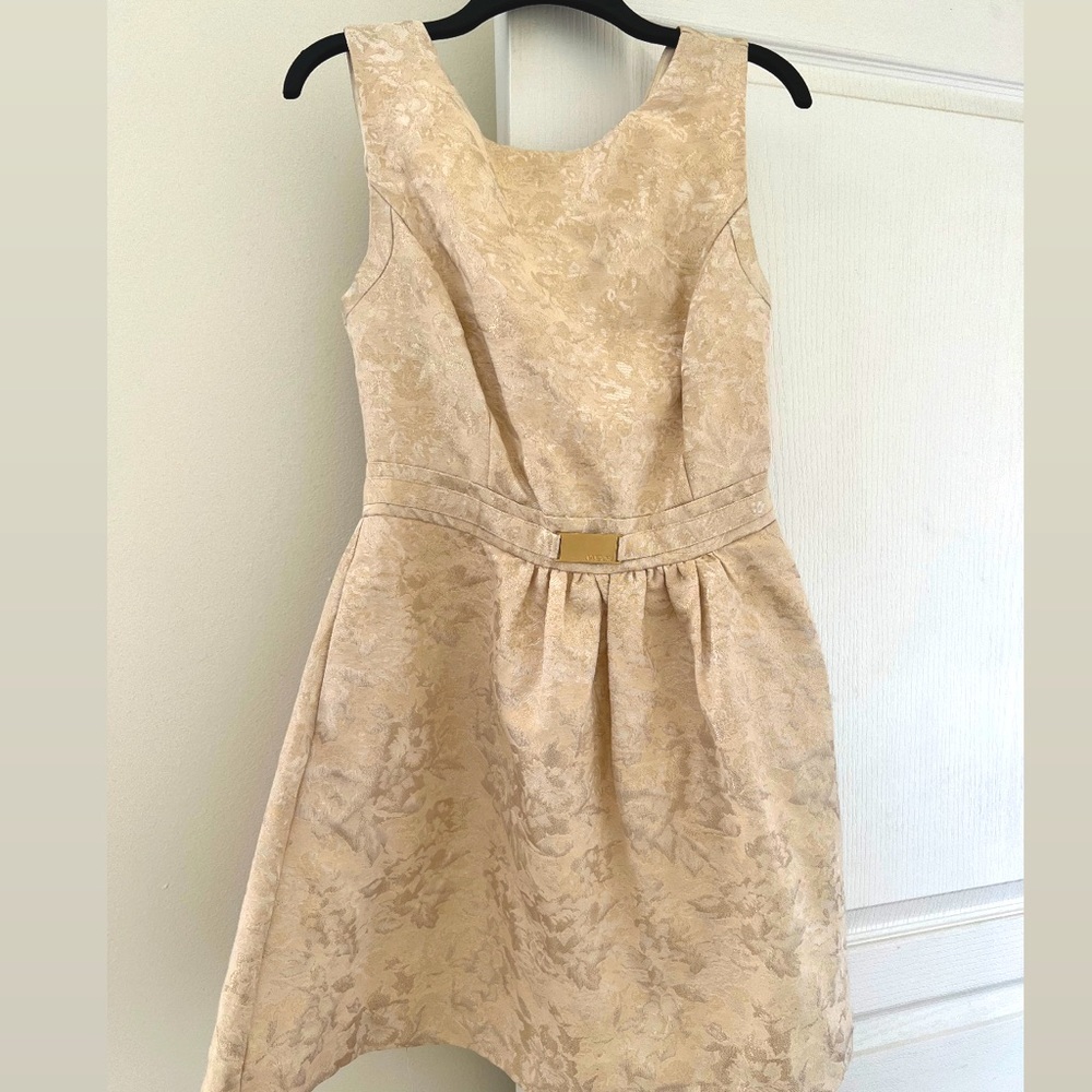 Jennifer Lopez Champagne Embroidered Cocktail Dress